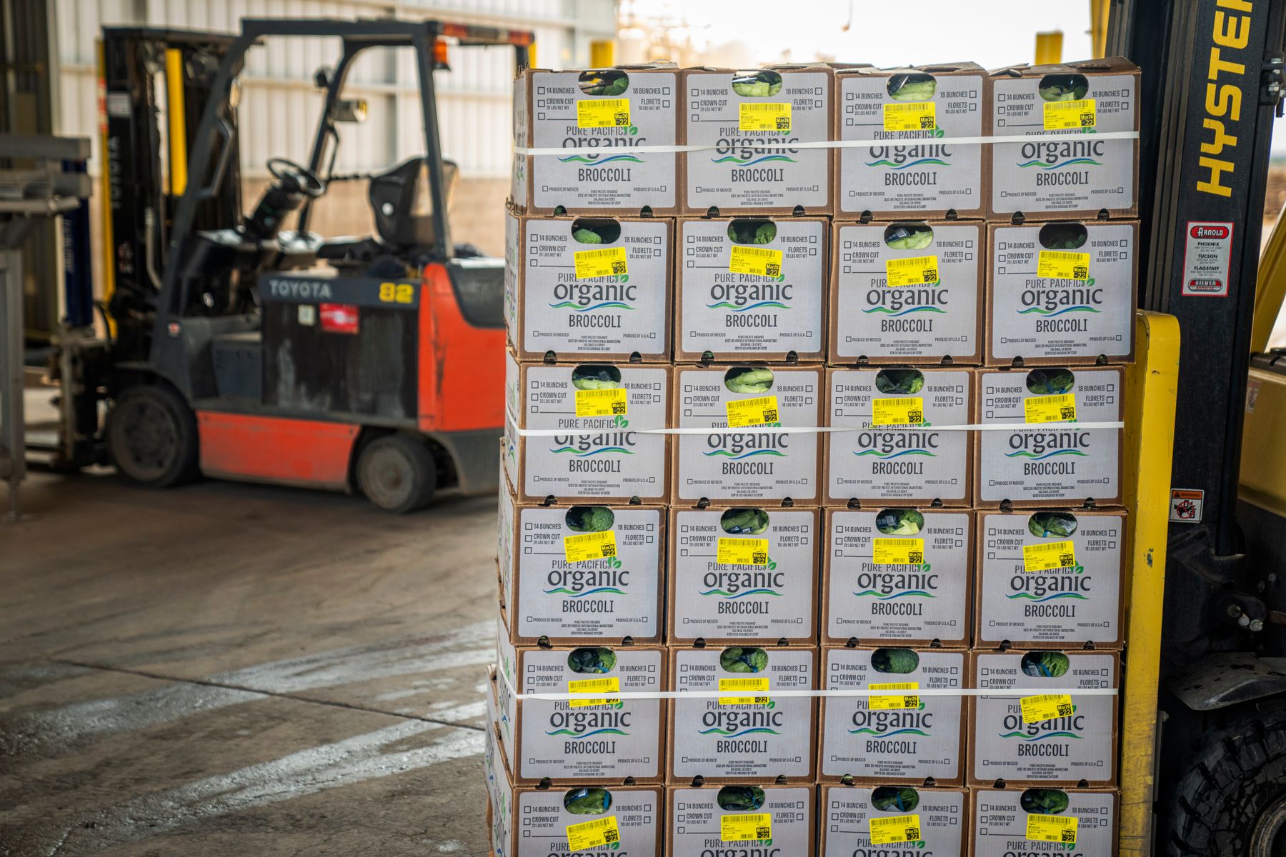 Palletized cartons beside forklifts inside a warehouse